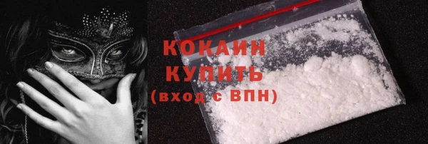 дживик Вязьма