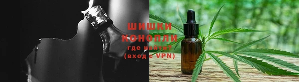 дживик Вязьма
