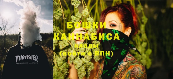 дживик Вязьма