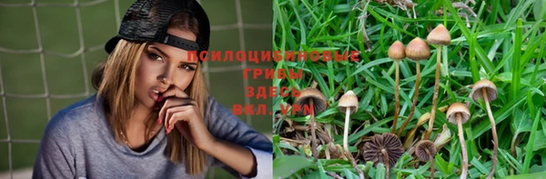 дживик Вязьма