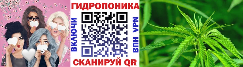 Канабис VHQ  Иннополис 